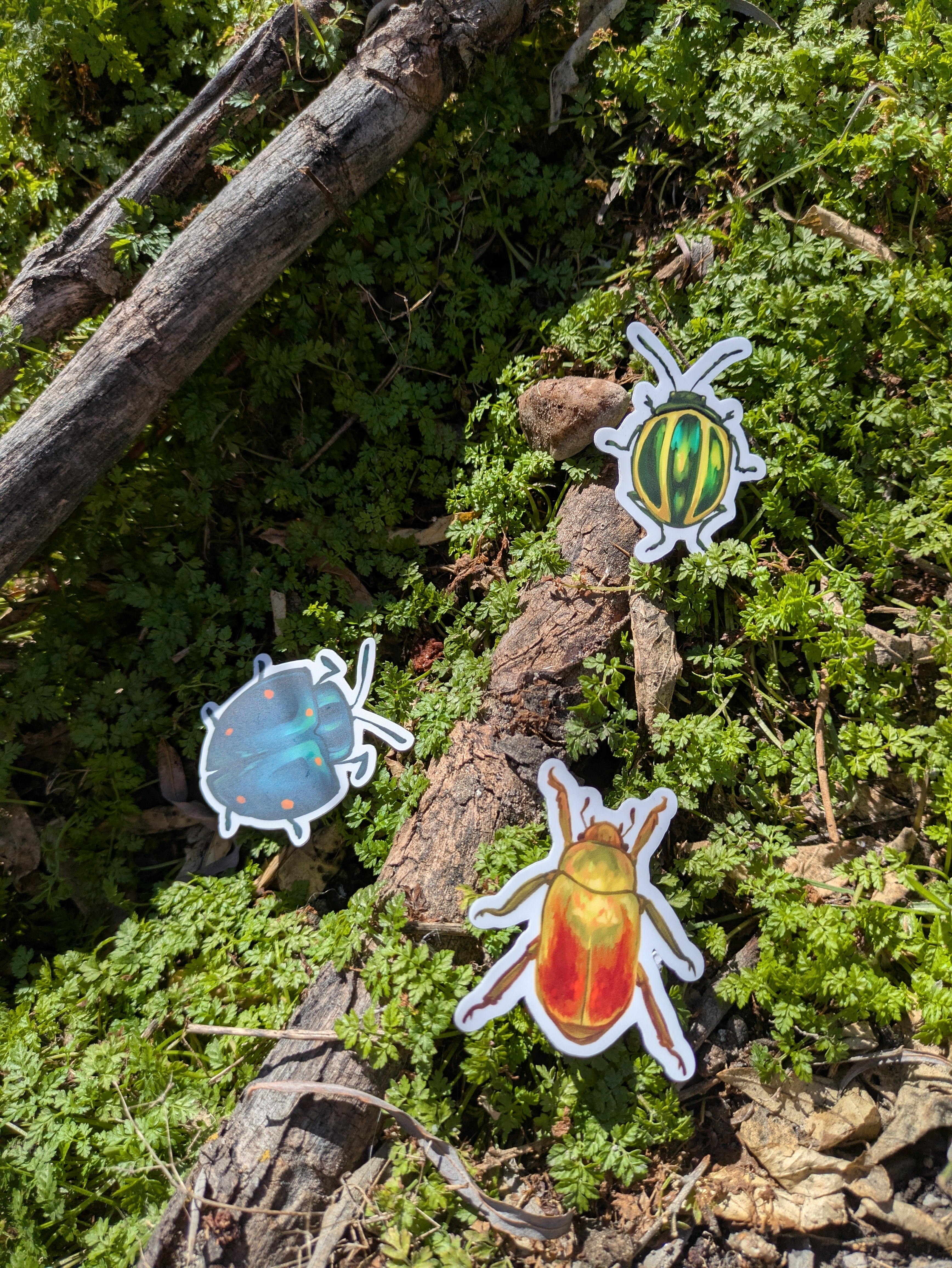 BeetleBugs