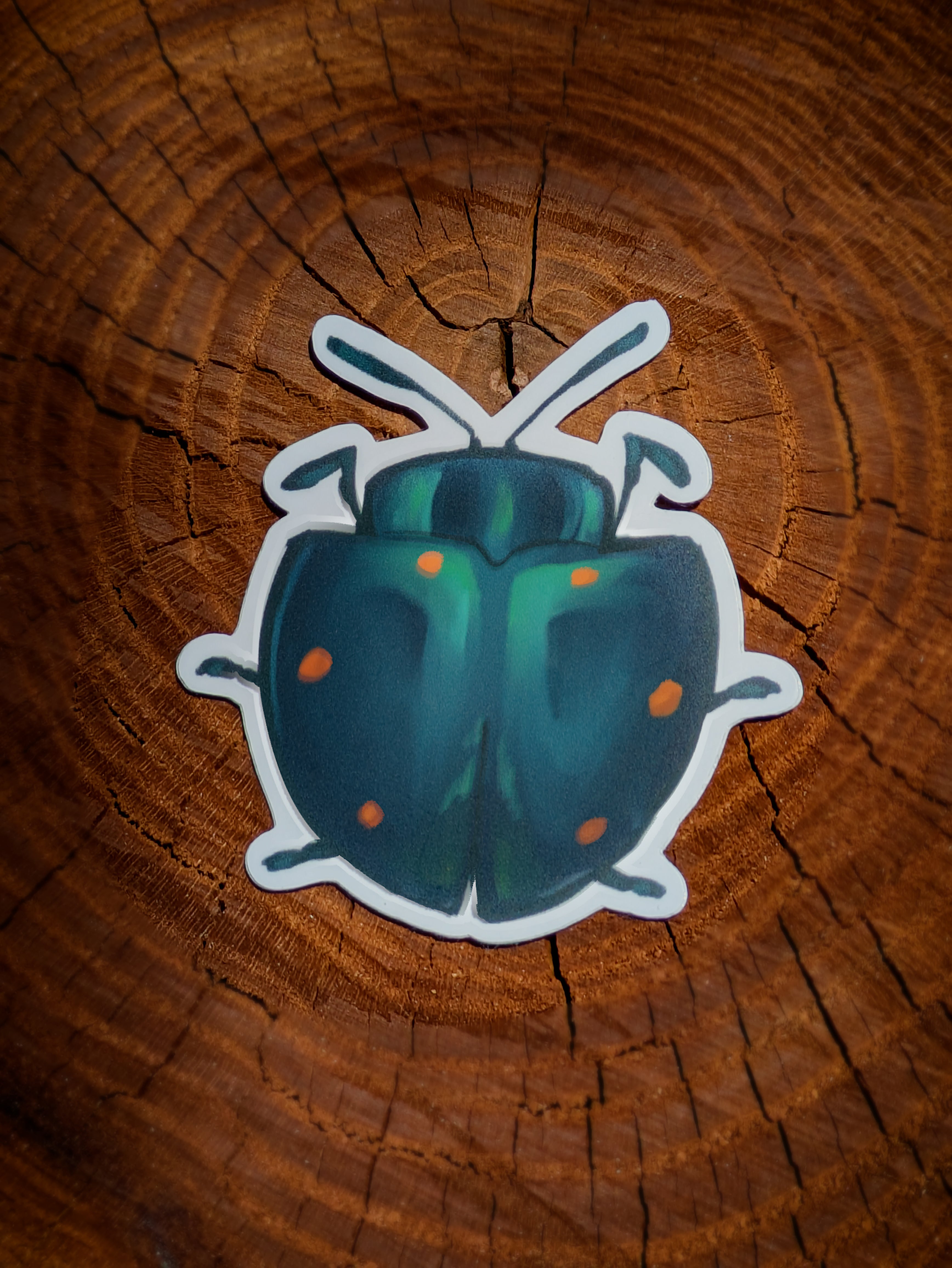 Cyrtonota sexpustulata Sticker