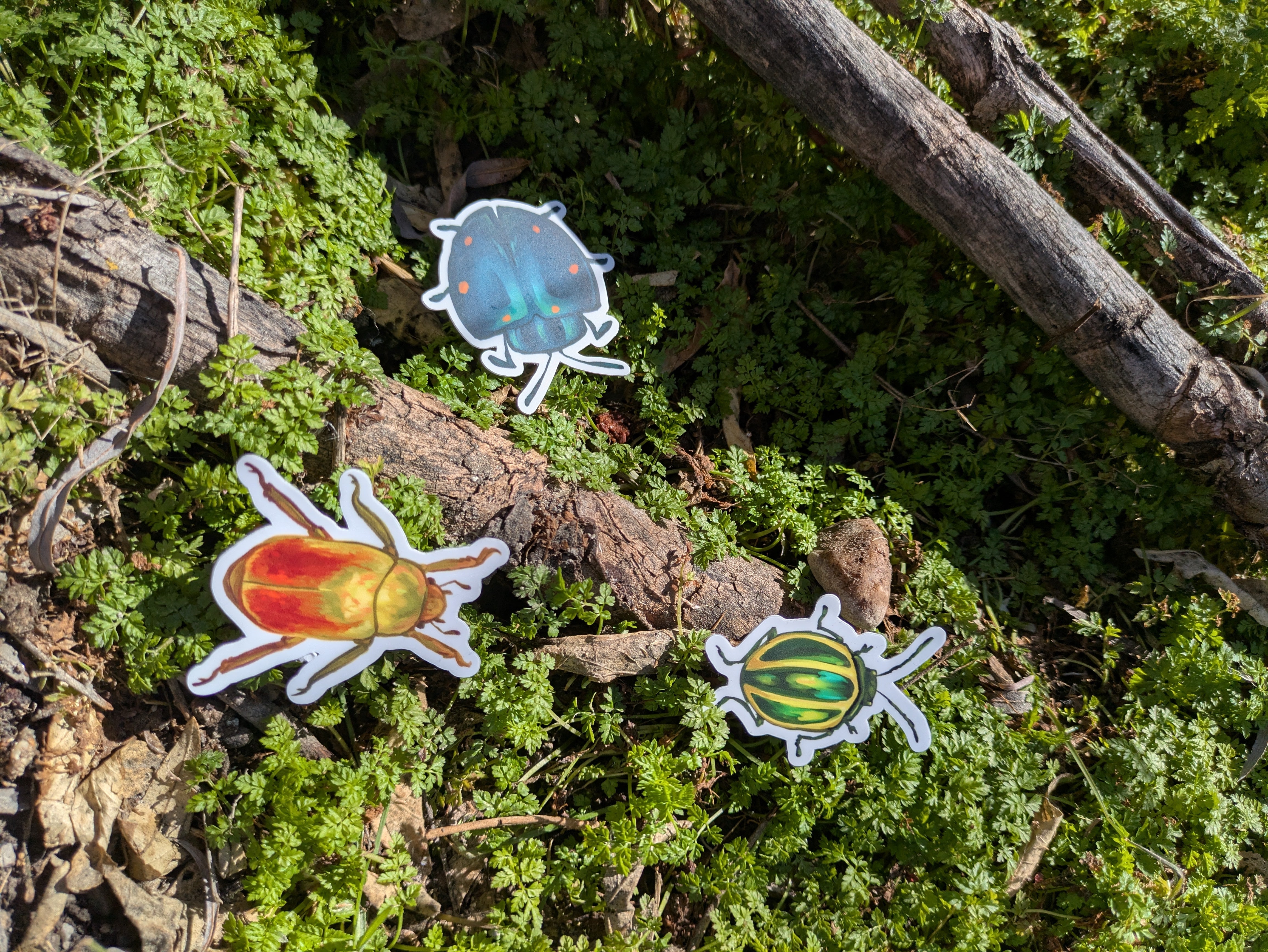 Three colorful beetle stickers on a natural background with green foliage and brown twigs.