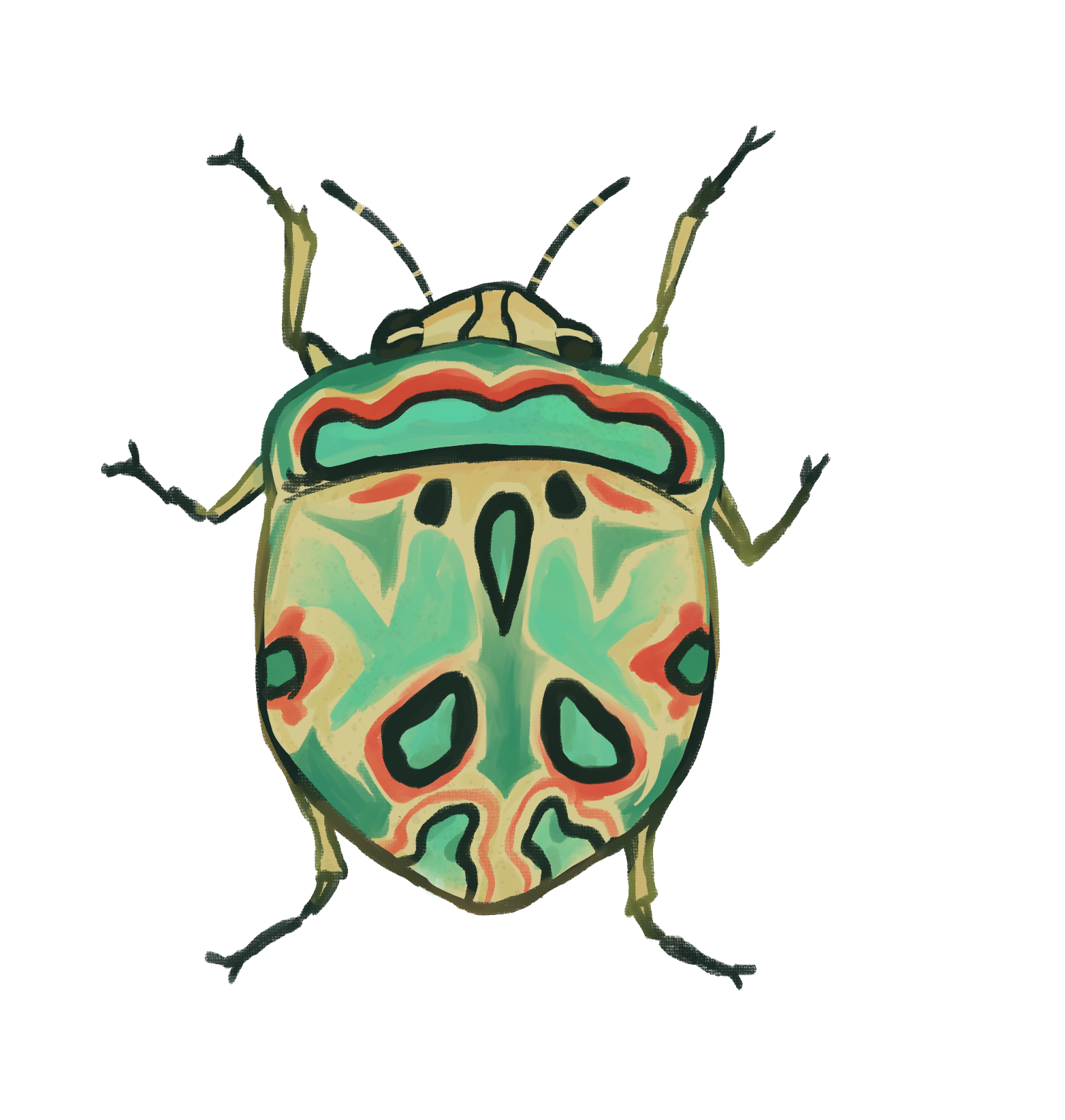 Picasso Bug