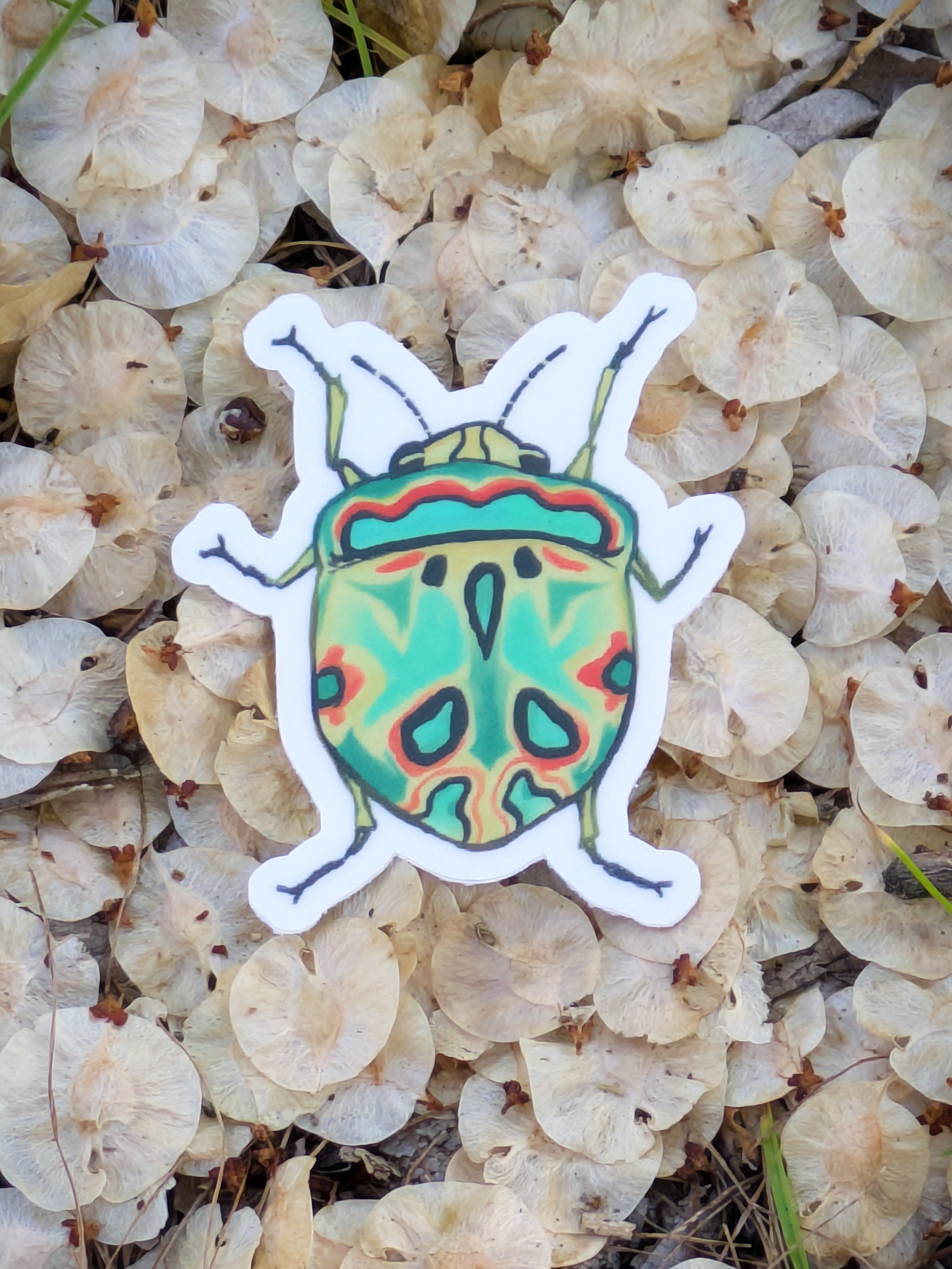 Picasso Bug
