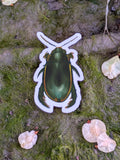 Diving Beetle